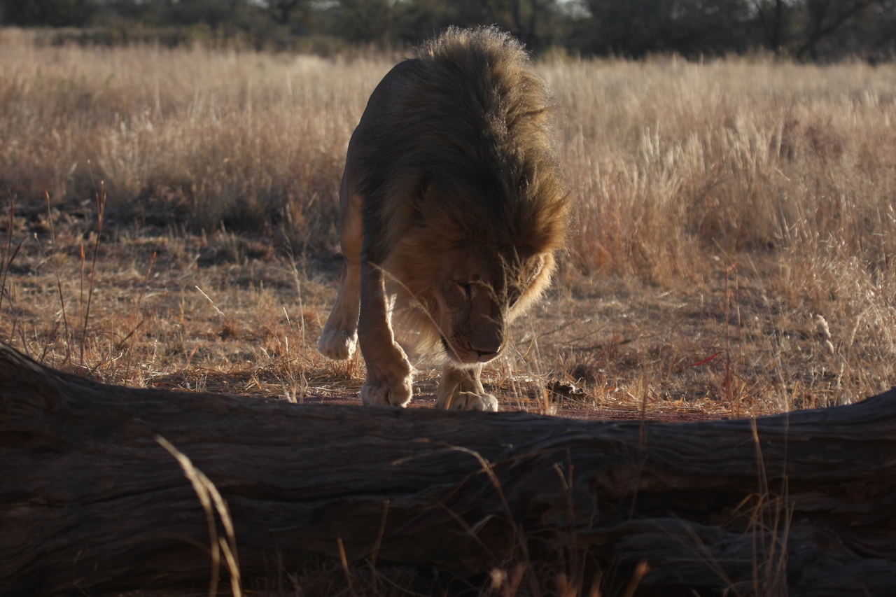 [7344] 2016_06_23_11_39_26_Africa_Canon_EOS_40D_IMG__00659.jpg