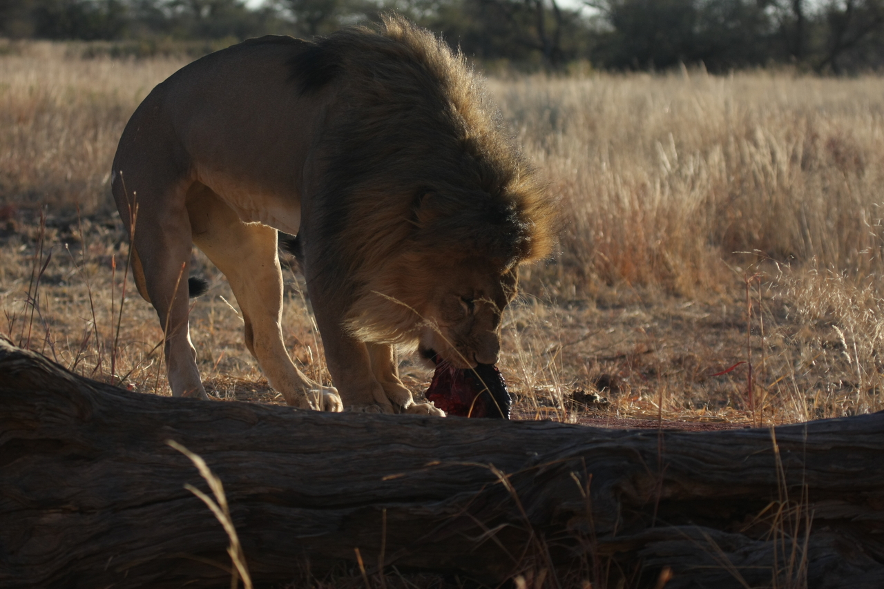 [7350] 2016_06_23_11_39_28_Africa_Canon_EOS_40D_IMG__00661.jpg