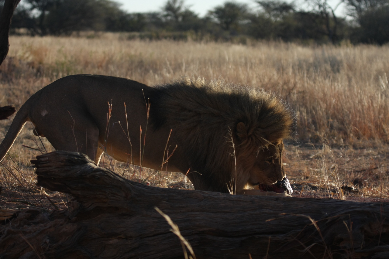 [7362] 2016_06_23_11_39_32_Africa_Canon_EOS_40D_IMG__00665.jpg