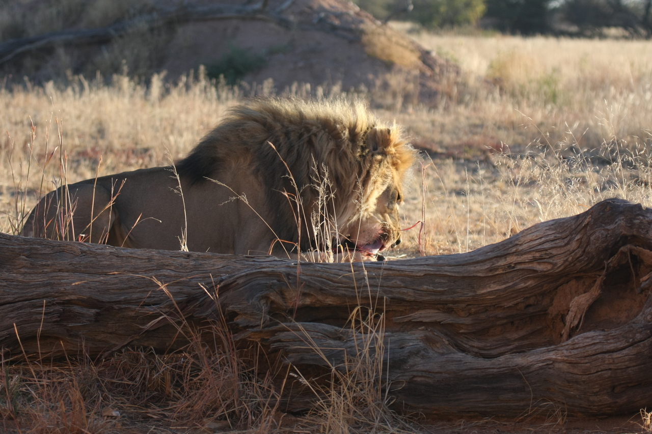 [7368] 2016_06_23_11_39_51_Africa_Canon_EOS_40D_IMG__00667.jpg