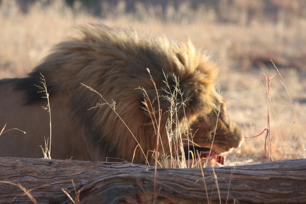 [7380] 2016_06_23_11_40_05_Africa_Canon_EOS_40D_IMG__01505.jpg