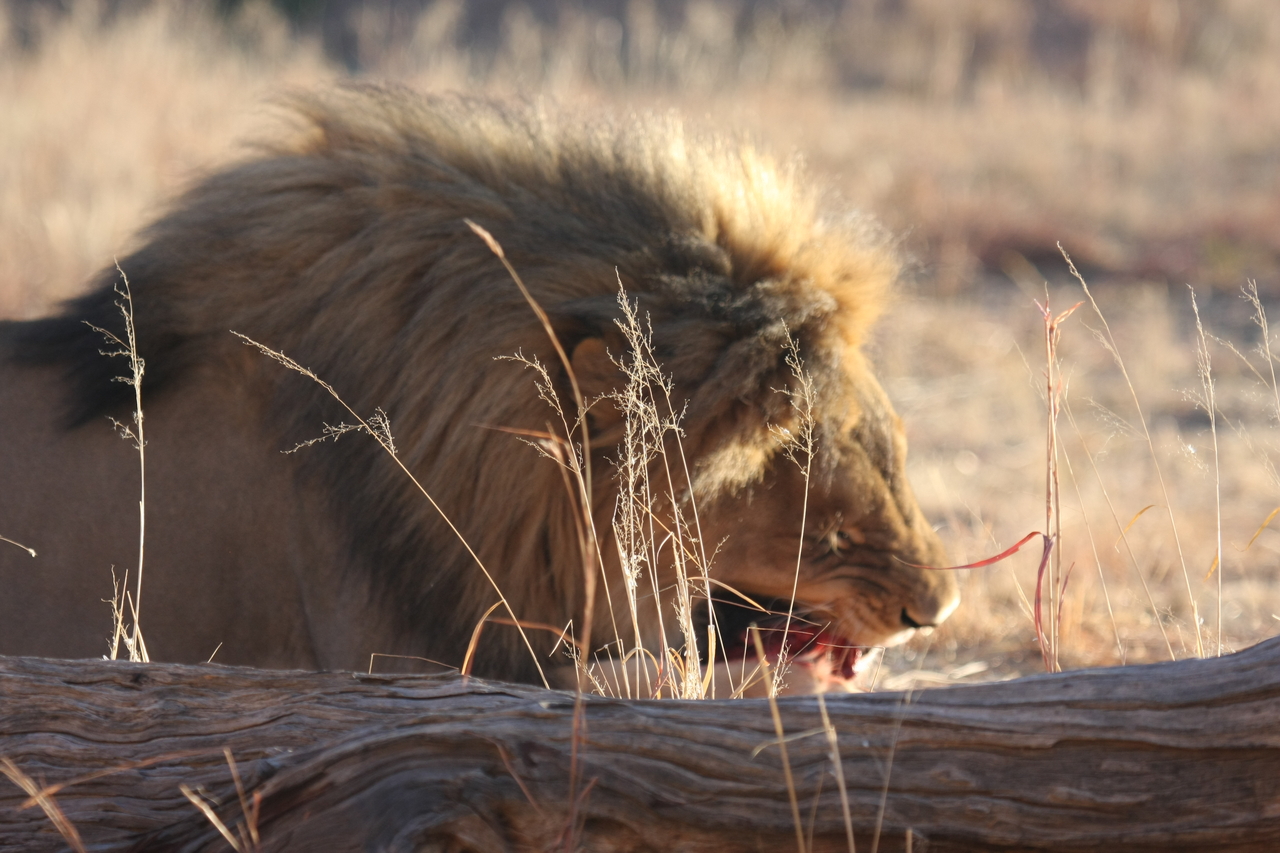 [7385] 2016_06_23_11_40_09_Africa_Canon_EOS_40D_IMG__01506.jpg