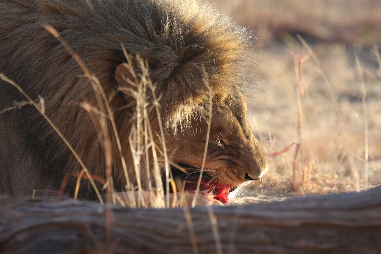 [7391] 2016_06_23_11_40_14_Africa_Canon_EOS_40D_IMG__01508.jpg