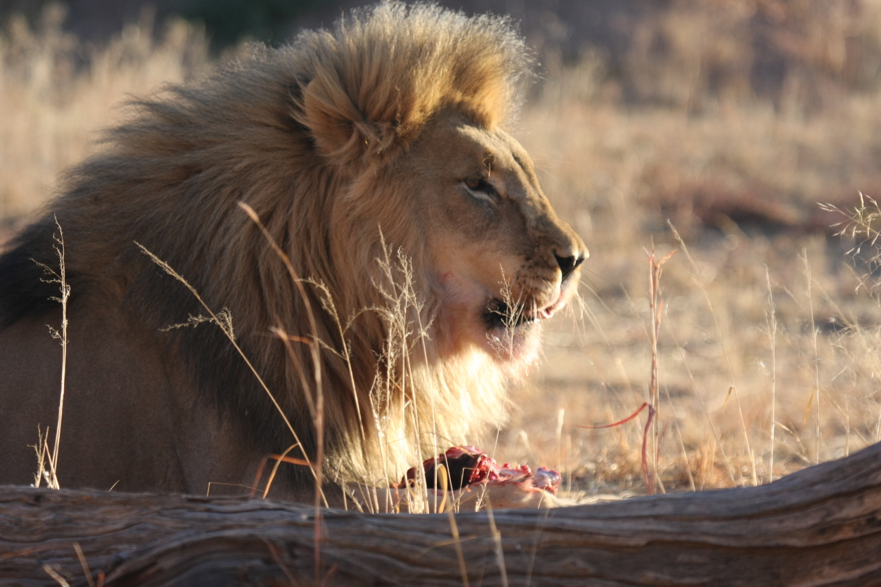 [7448] 2016_06_23_11_40_47_Africa_Canon_EOS_40D_IMG__00693.jpg