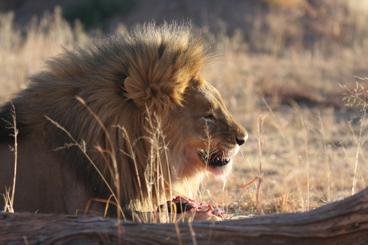 [7456] 2016_06_23_11_40_49_Africa_Canon_EOS_40D_IMG__01528.jpg