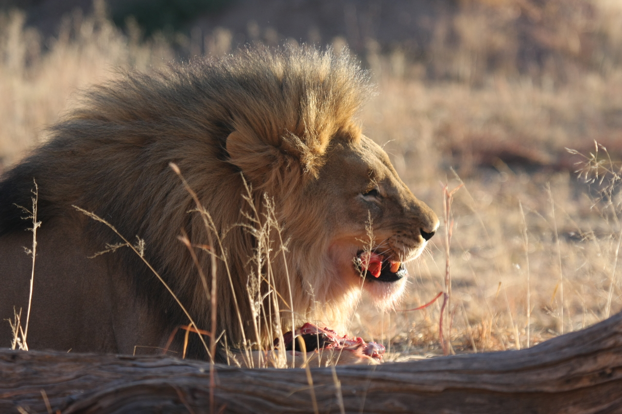 [7463] 2016_06_23_11_40_50_Africa_Canon_EOS_40D_IMG__01531.jpg