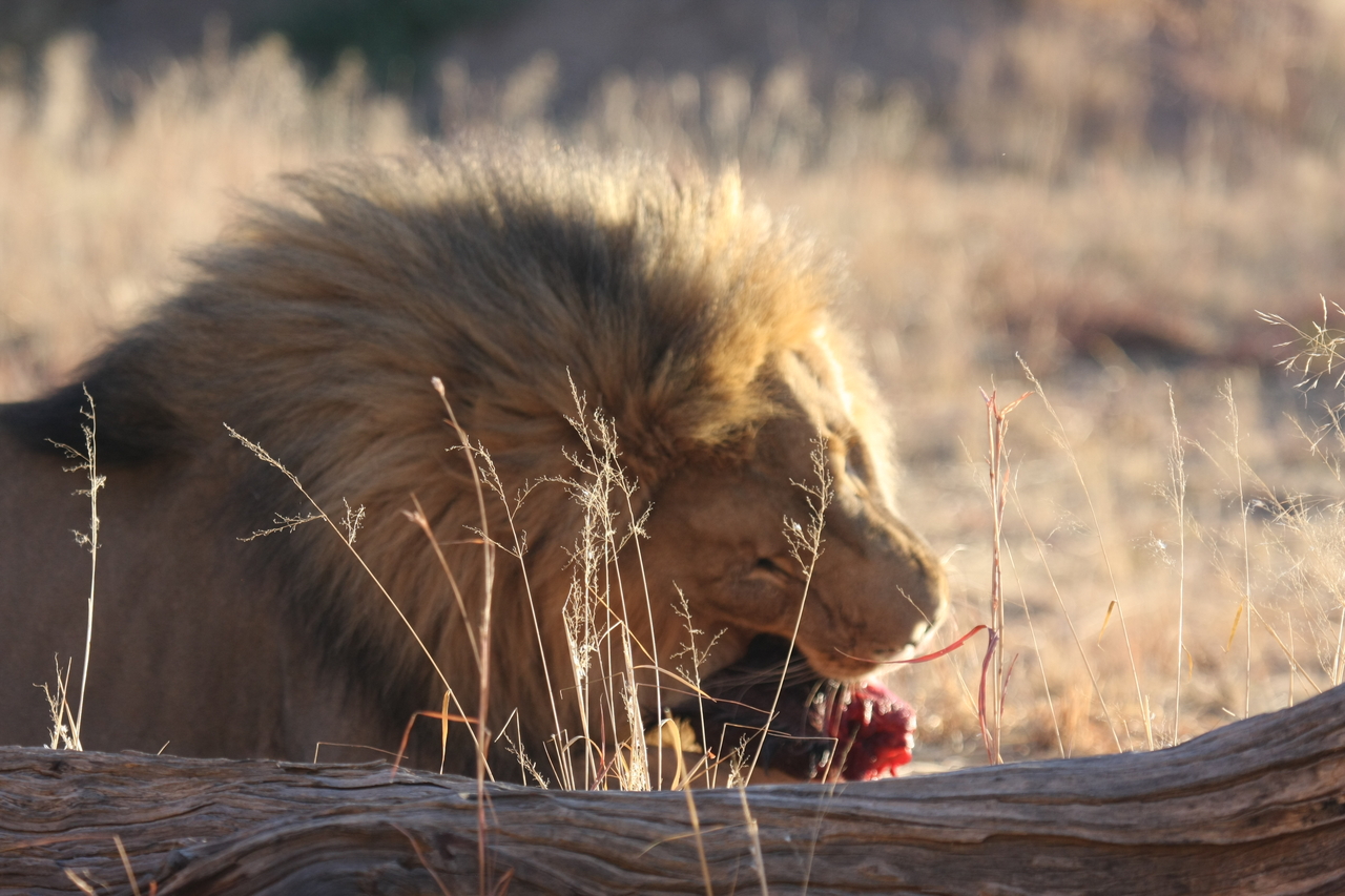 [7493] 2016_06_23_11_41_00_Africa_Canon_EOS_40D_IMG__08987.jpg