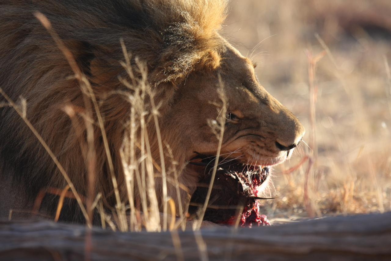 [7530] 2016_06_23_11_41_42_Africa_Canon_EOS_40D_IMG__00717.jpg