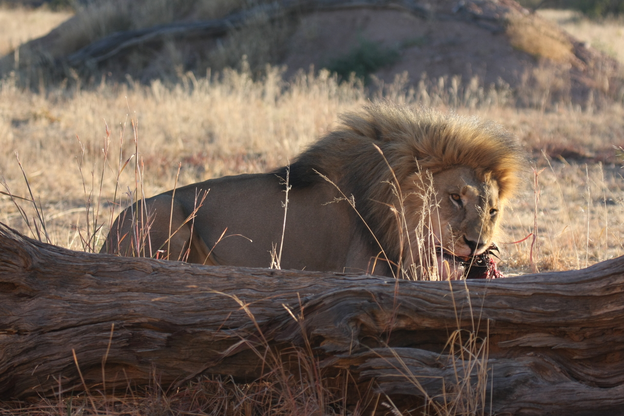 [7557] 2016_06_23_11_42_04_Africa_Canon_EOS_40D_IMG__00726.jpg