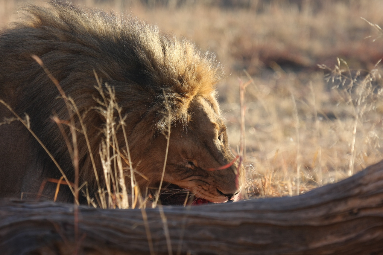 [7571] 2016_06_23_11_42_19_Africa_Canon_EOS_40D_IMG__09011.jpg