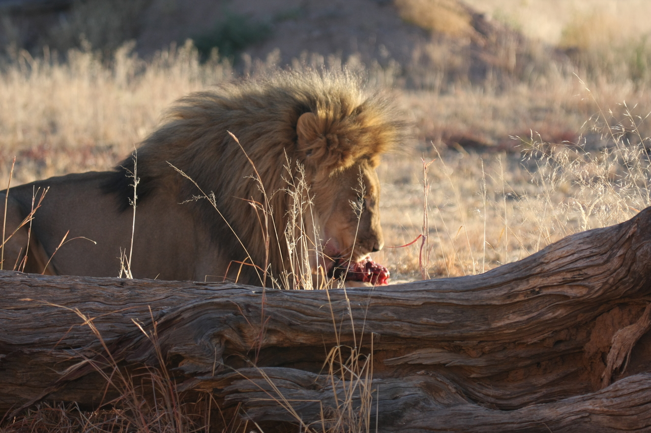 [7574] 2016_06_23_11_42_39_Africa_Canon_EOS_40D_IMG__00733.jpg