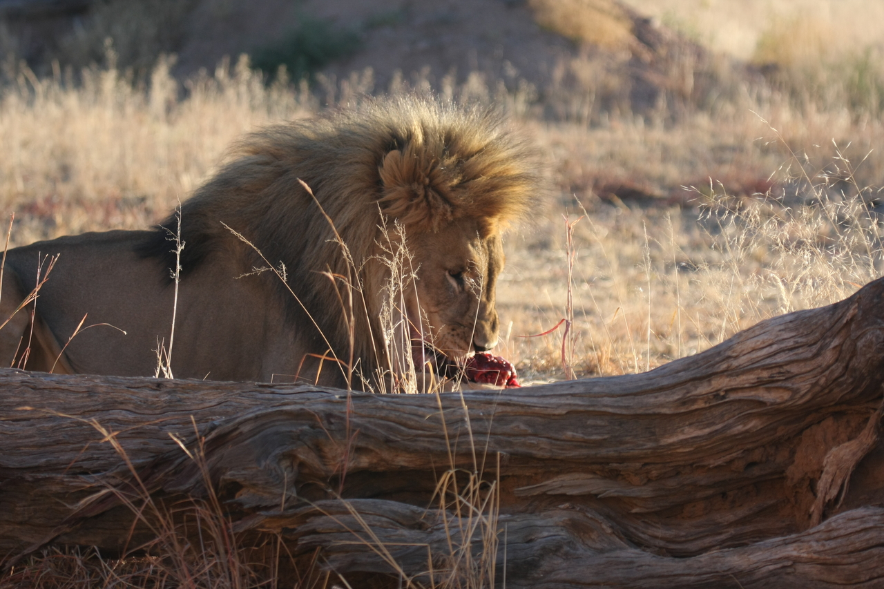 [7575] 2016_06_23_11_42_39_Africa_Canon_EOS_40D_IMG__01565.jpg
