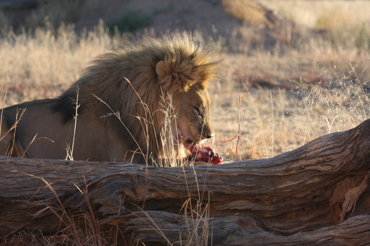 [7581] 2016_06_23_11_42_46_Africa_Canon_EOS_40D_IMG__00734.jpg