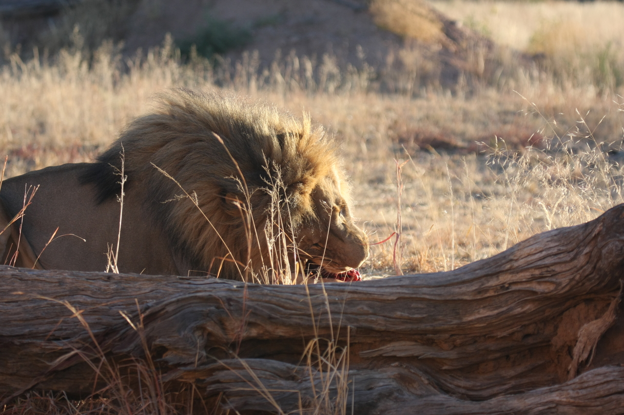 [7592] 2016_06_23_11_42_50_Africa_Canon_EOS_40D_IMG__01572.jpg