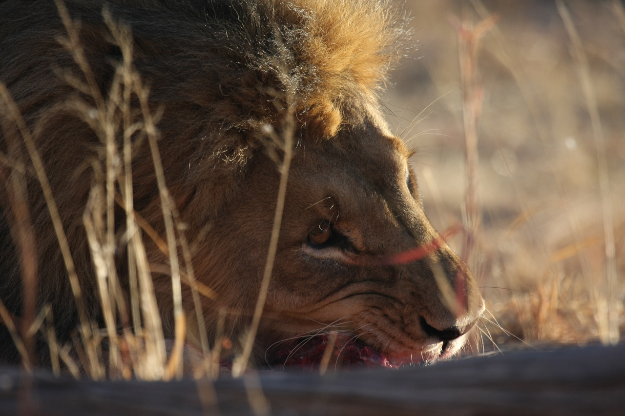 [7614] 2016_06_23_11_43_14_Africa_Canon_EOS_40D_IMG__01578.jpg