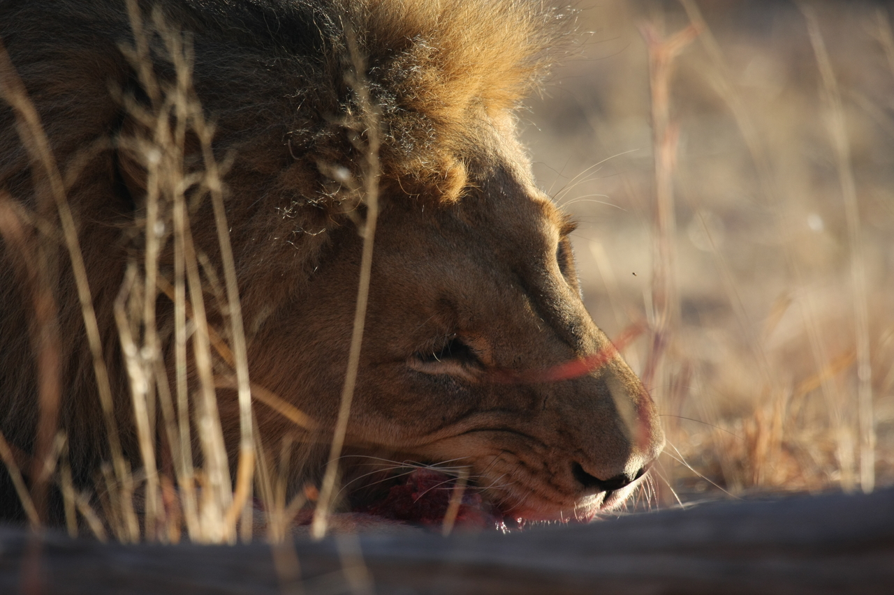 [7622] 2016_06_23_11_43_17_Africa_Canon_EOS_40D_IMG__01581.jpg