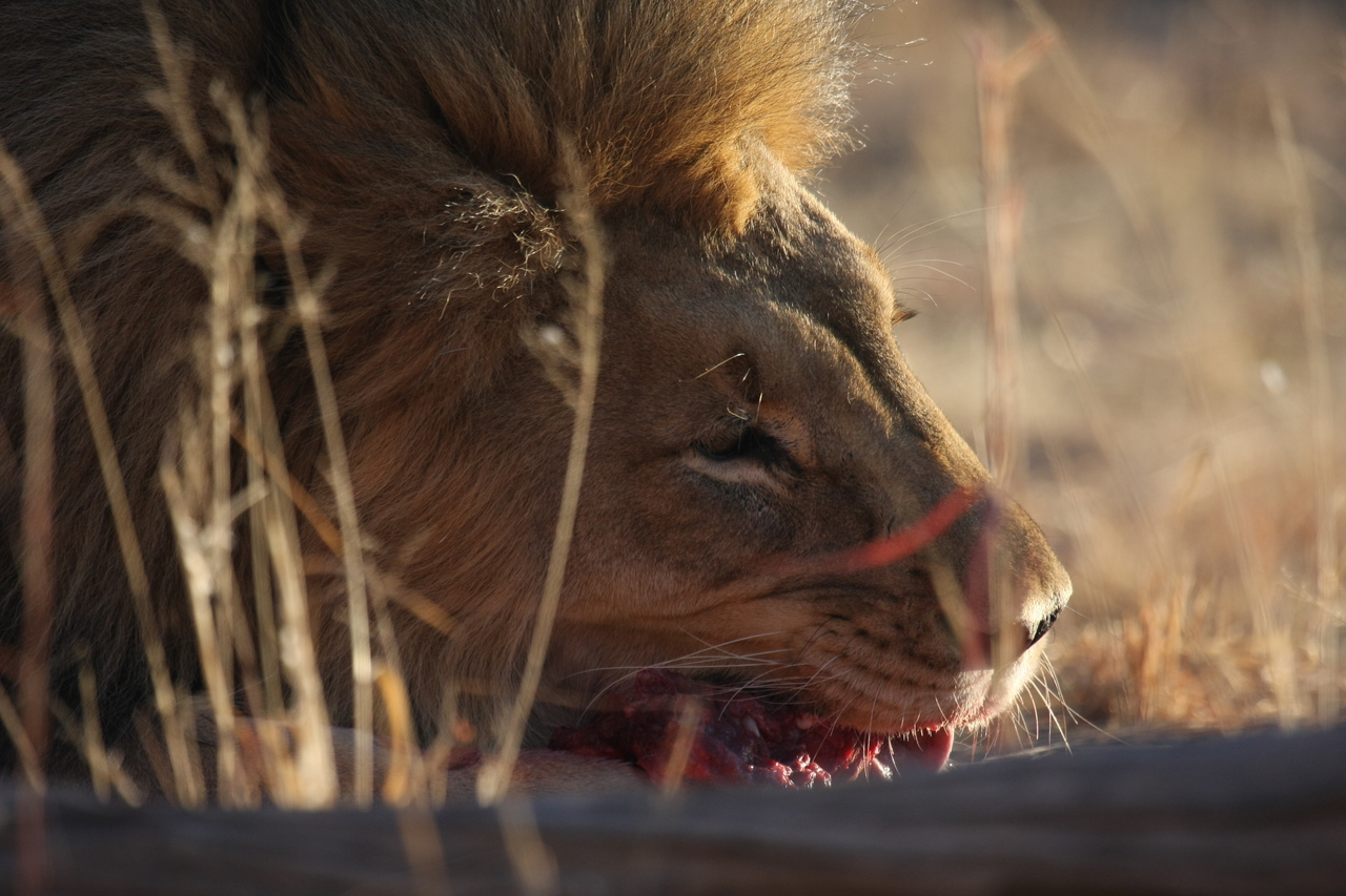 [7637] 2016_06_23_11_43_22_Africa_Canon_EOS_40D_IMG__00864.jpg