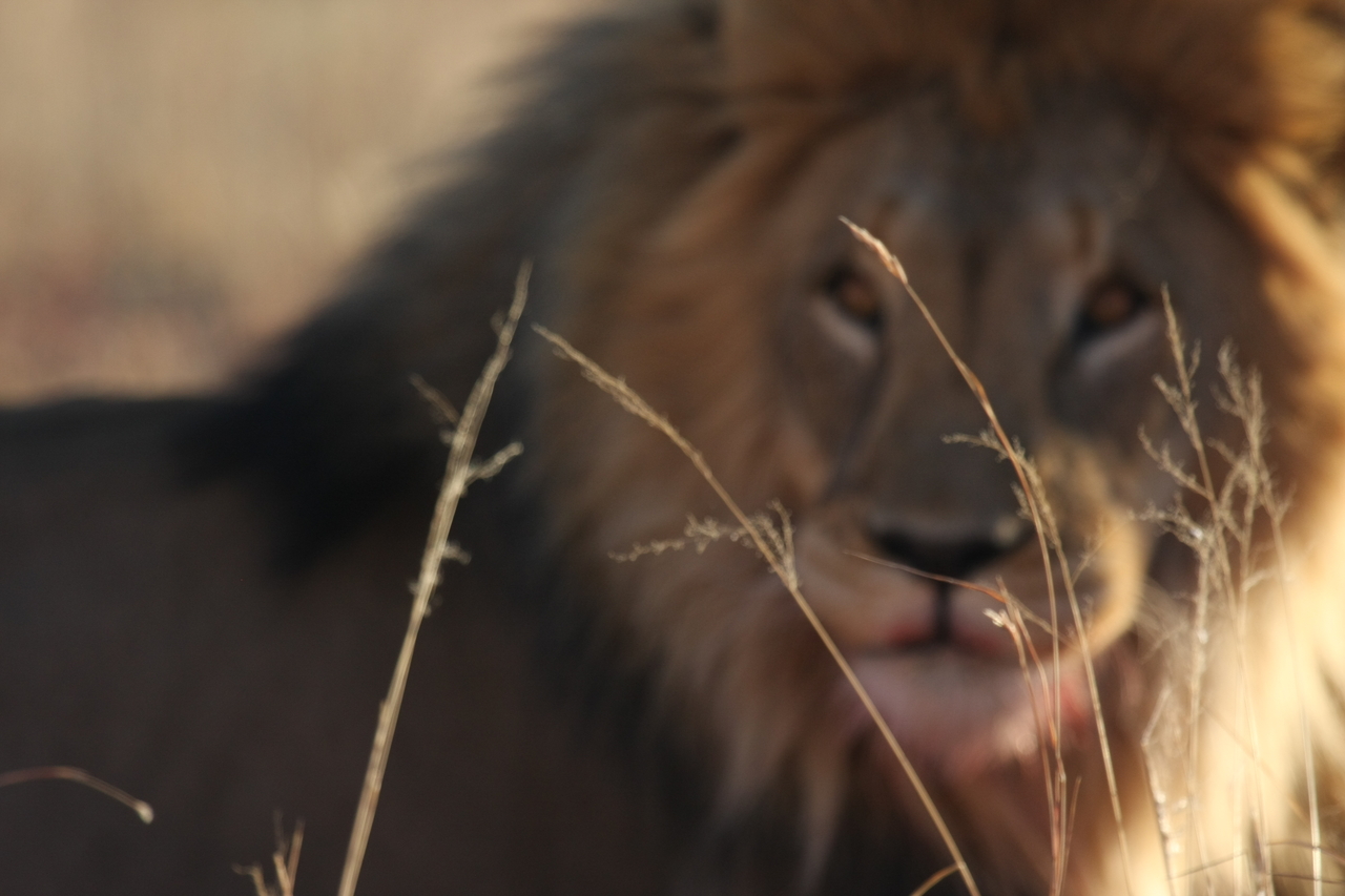 [7662] 2016_06_23_11_43_33_Africa_Canon_EOS_40D_IMG__00754.jpg