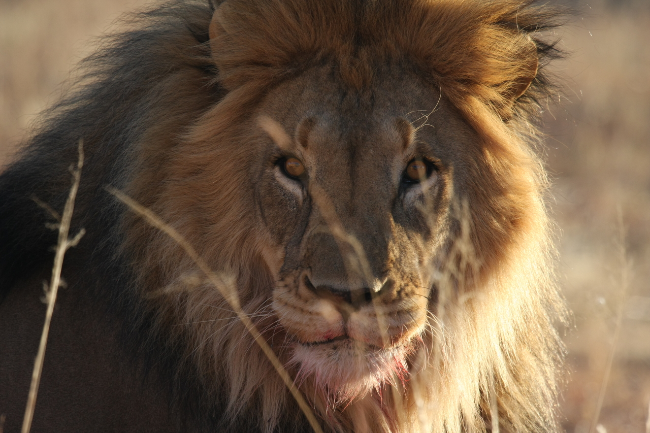 [7666] 2016_06_23_11_43_33_Africa_Canon_EOS_40D_IMG__01599.jpg