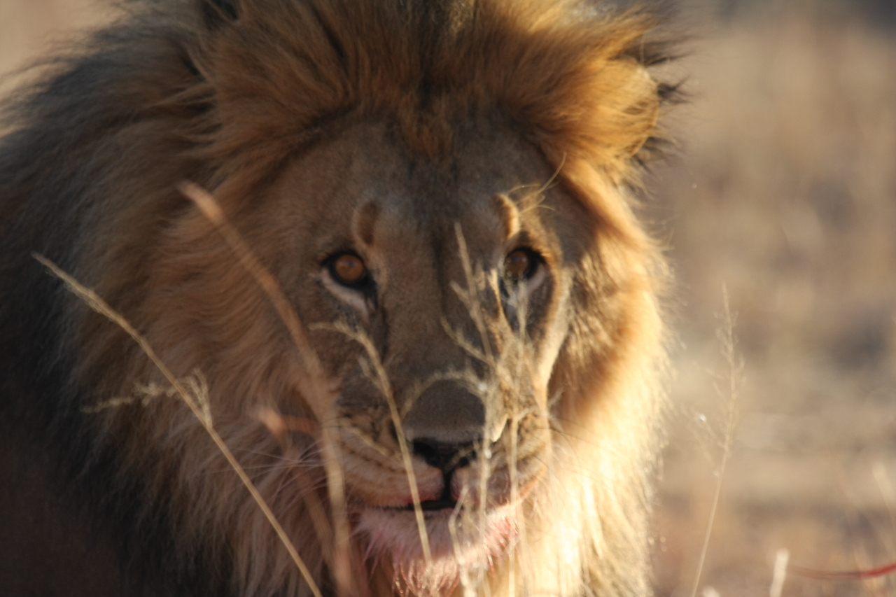 [7672] 2016_06_23_11_43_34_Africa_Canon_EOS_40D_IMG__00787.jpg