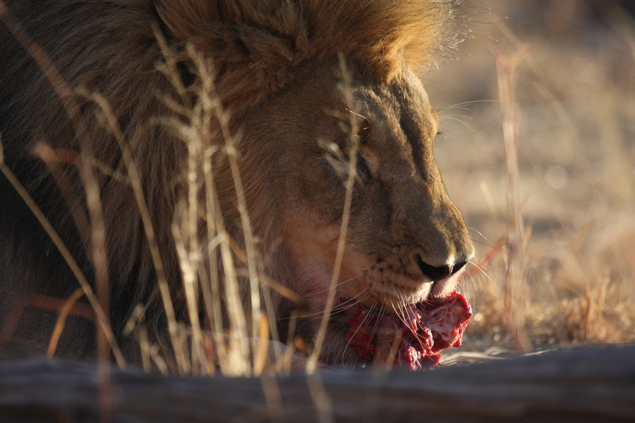 [7691] 2016_06_23_11_43_54_Africa_Canon_EOS_40D_IMG__00842.jpg
