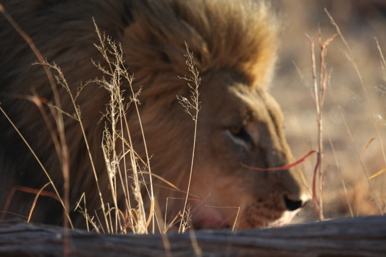 [7713] 2016_06_23_11_44_01_Africa_Canon_EOS_40D_IMG__00931.jpg