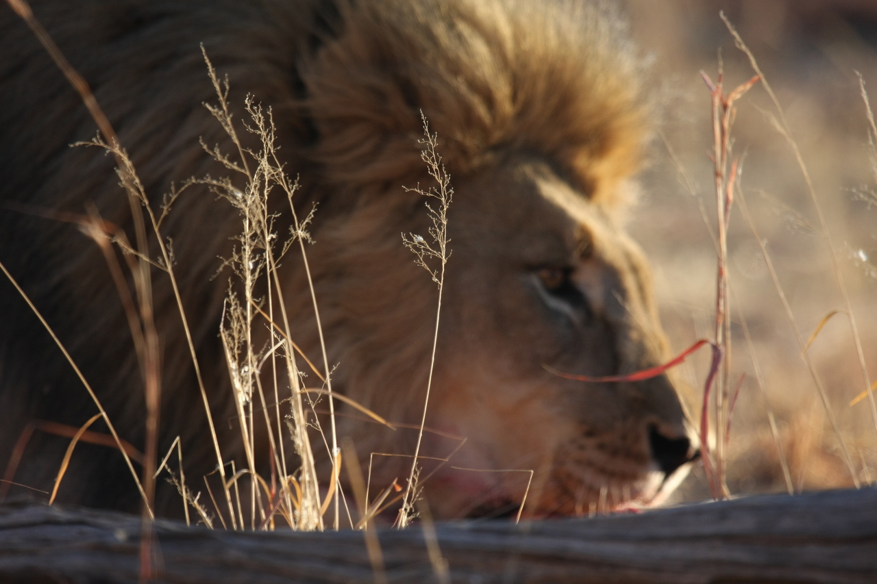 [7720] 2016_06_23_11_44_01_Africa_Canon_EOS_40D_IMG__09223.jpg