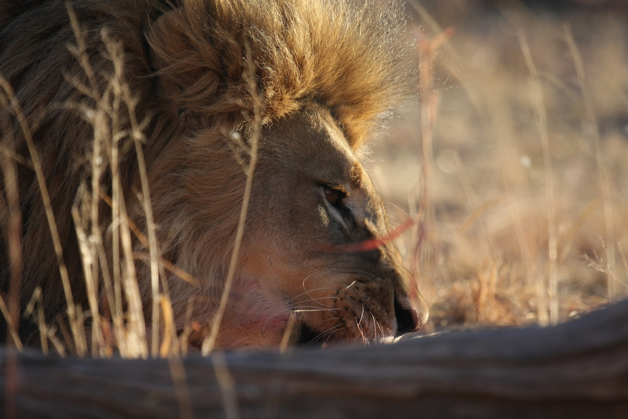 [7724] 2016_06_23_11_44_03_Africa_Canon_EOS_40D_IMG__01787.jpg