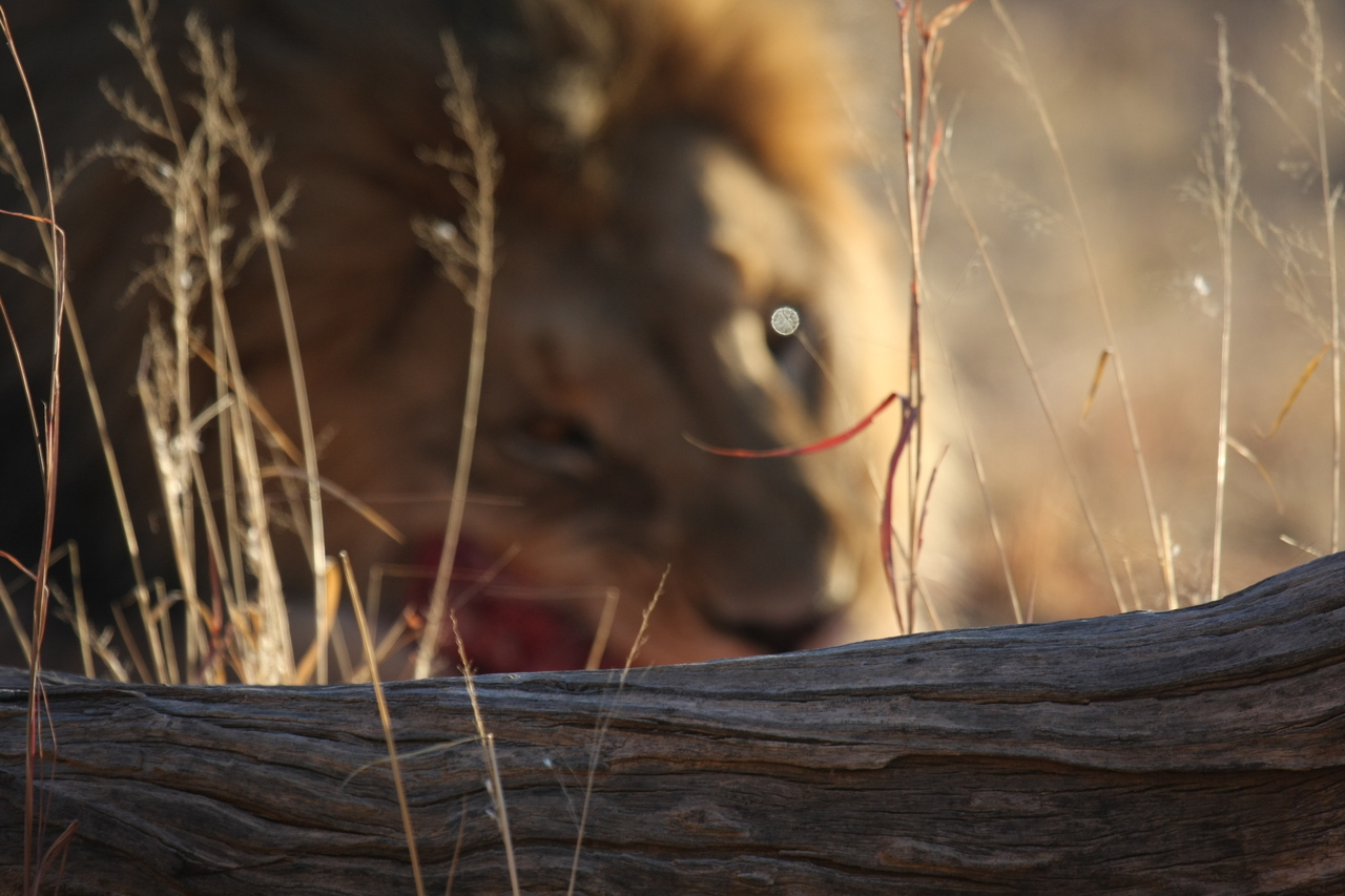 [7748] 2016_06_23_11_44_27_Africa_Canon_EOS_40D_IMG__01024.jpg