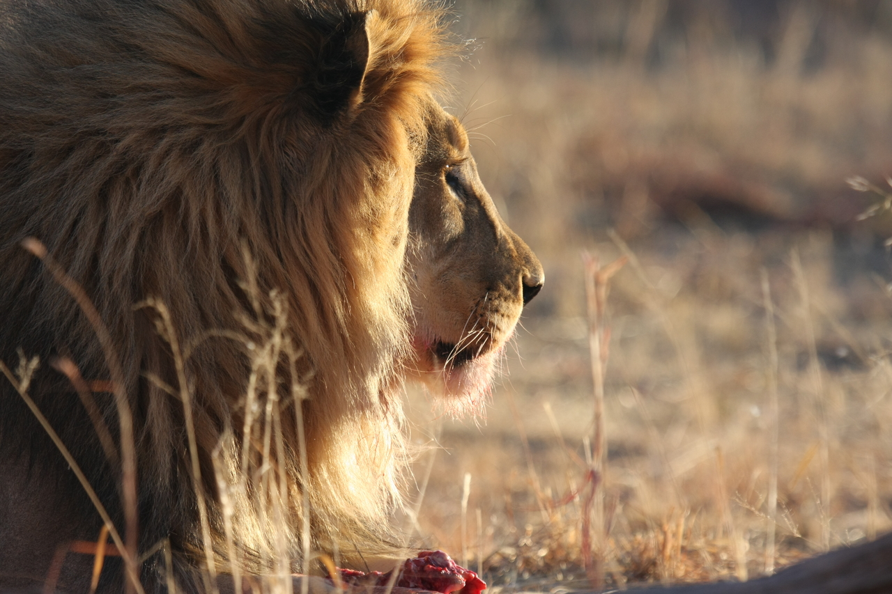 [7752] 2016_06_23_11_45_09_Africa_Canon_EOS_40D_IMG__01026.jpg
