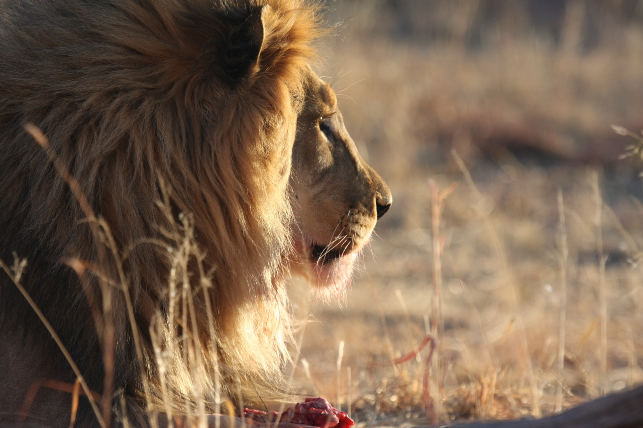[7756] 2016_06_23_11_45_09_Africa_Canon_EOS_40D_IMG__01862.jpg