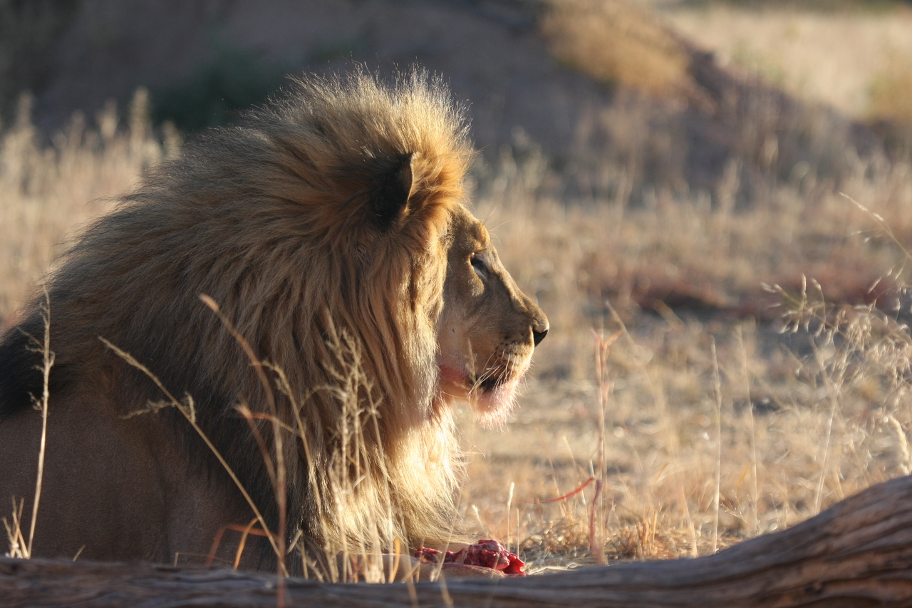 [7761] 2016_06_23_11_45_14_Africa_Canon_EOS_40D_IMG__01030.jpg
