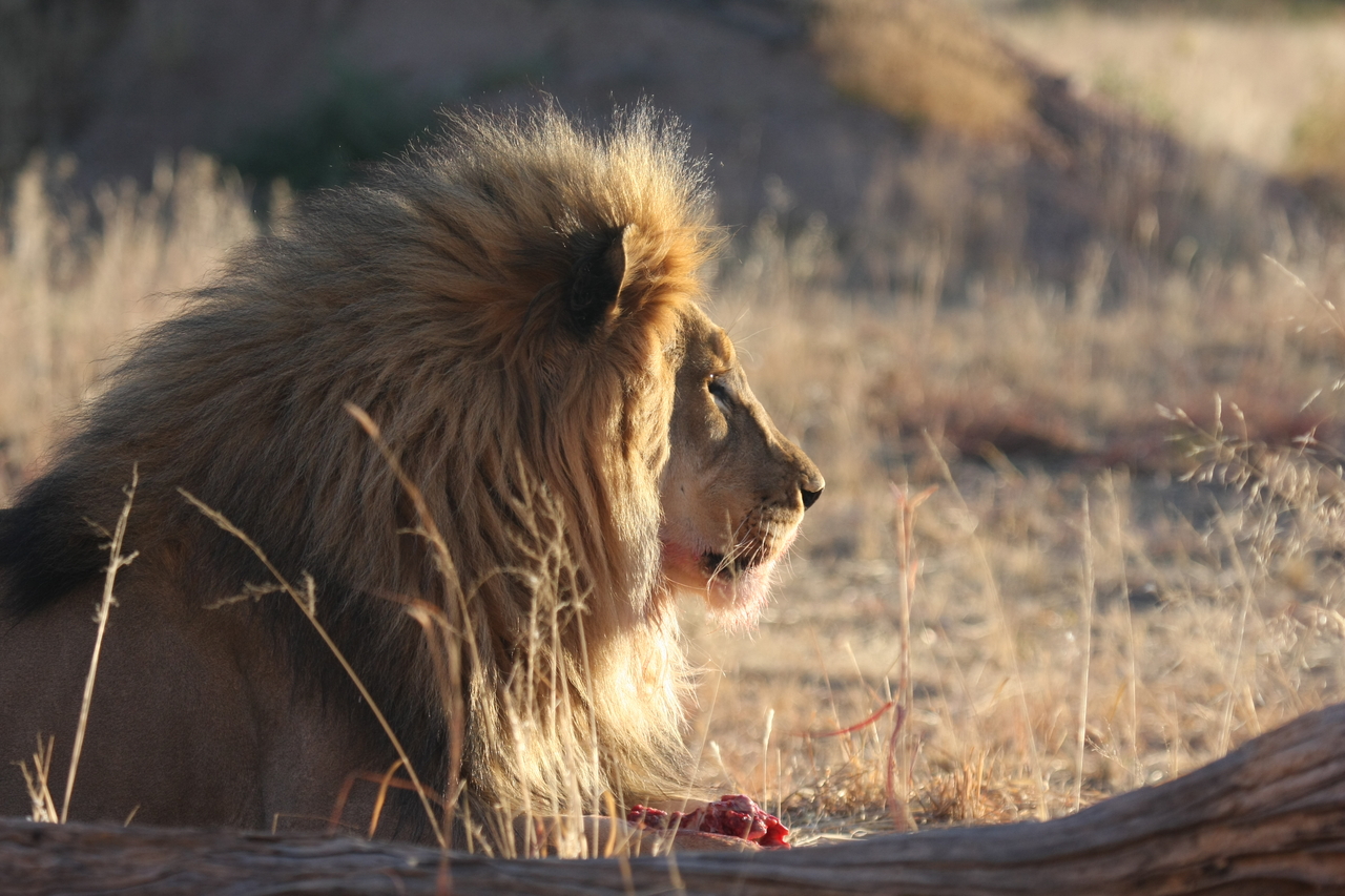 [7778] 2016_06_23_11_45_16_Africa_Canon_EOS_40D_IMG__01035.jpg
