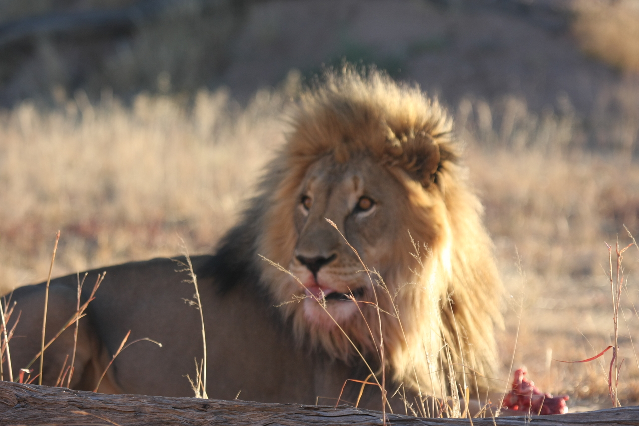 [7793] 2016_06_23_11_46_00_Africa_Canon_EOS_40D_IMG__01874.jpg