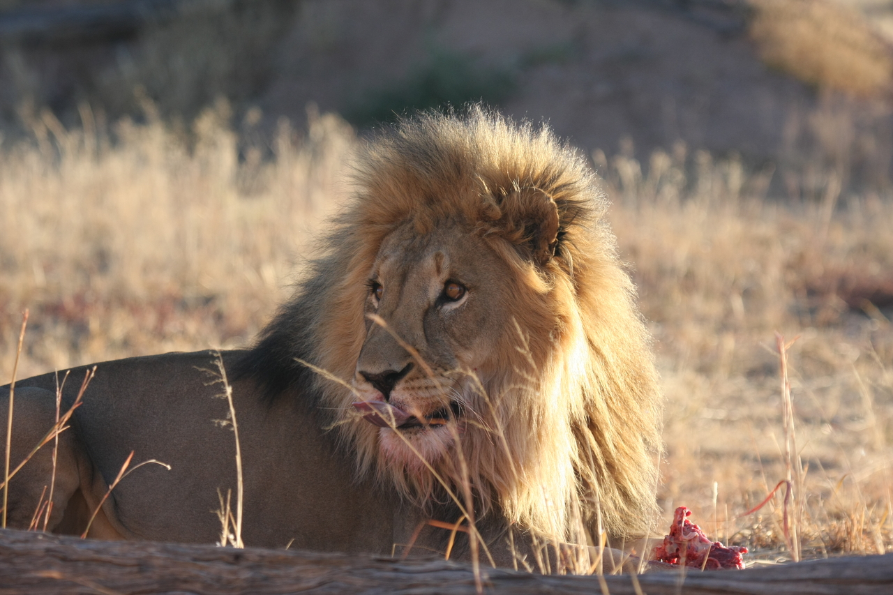 [7802] 2016_06_23_11_46_02_Africa_Canon_EOS_40D_IMG__01044.jpg