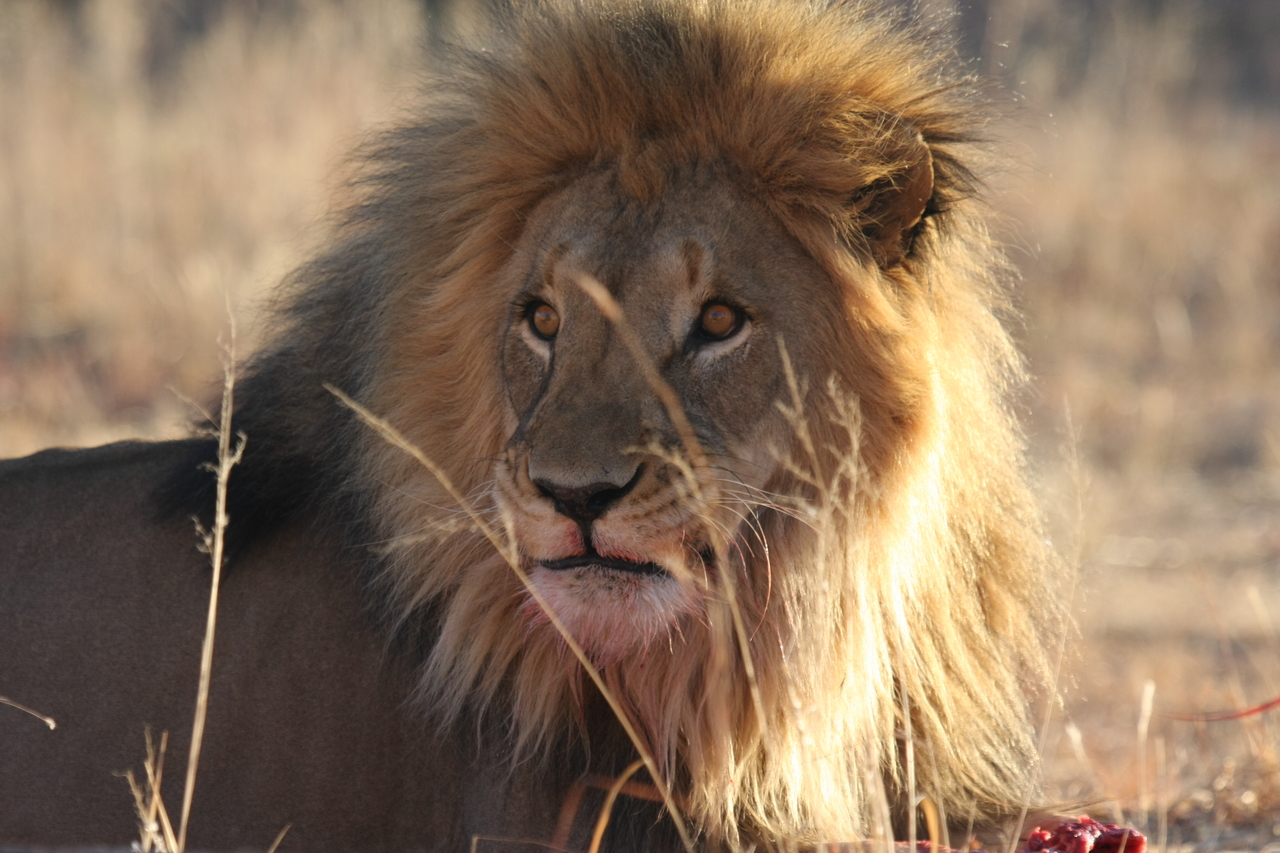 [7834] 2016_06_23_11_46_22_Africa_Canon_EOS_40D_IMG__01053.jpg