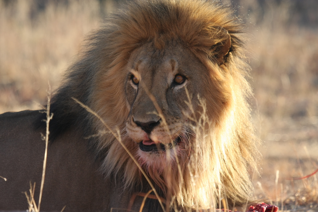 [7838] 2016_06_23_11_46_22_Africa_Canon_EOS_40D_IMG__09332.jpg