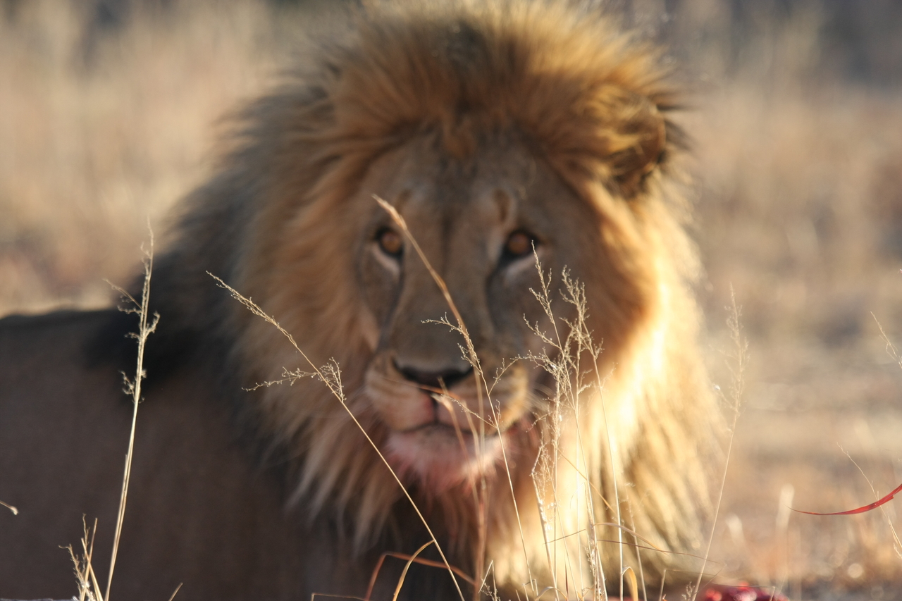[7847] 2016_06_23_11_46_24_Africa_Canon_EOS_40D_IMG__01888.jpg