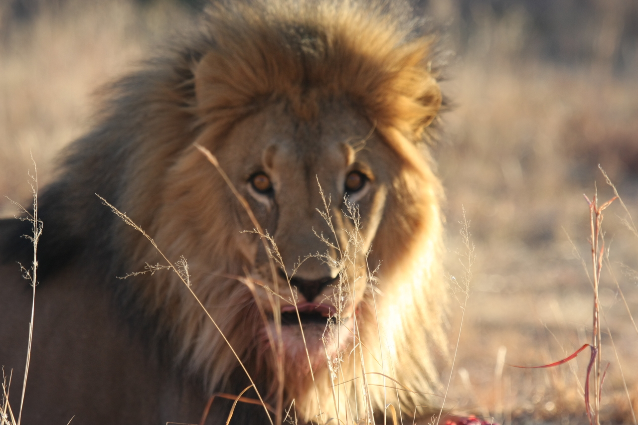 [7855] 2016_06_23_11_46_25_Africa_Canon_EOS_40D_IMG__01056.jpg