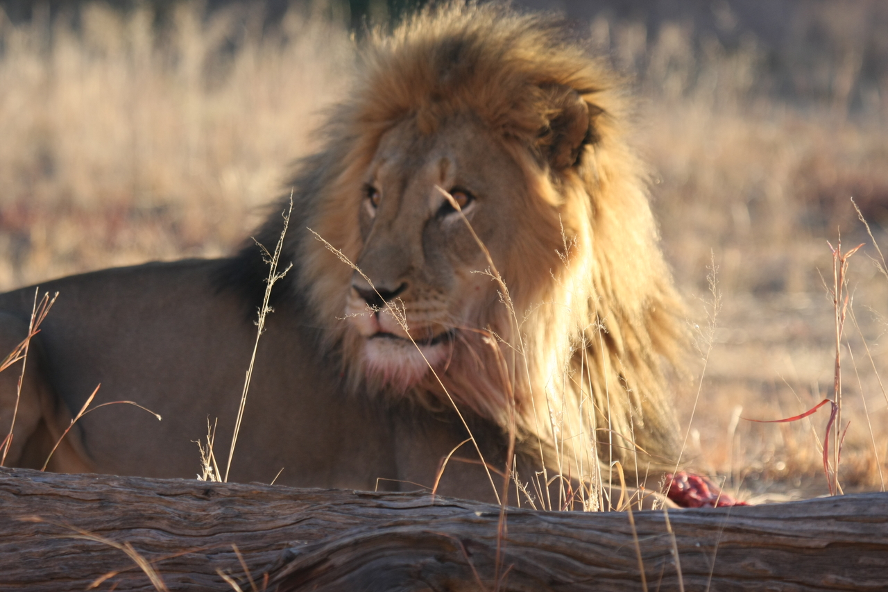 [7873] 2016_06_23_11_47_20_Africa_Canon_EOS_40D_IMG__01896.jpg