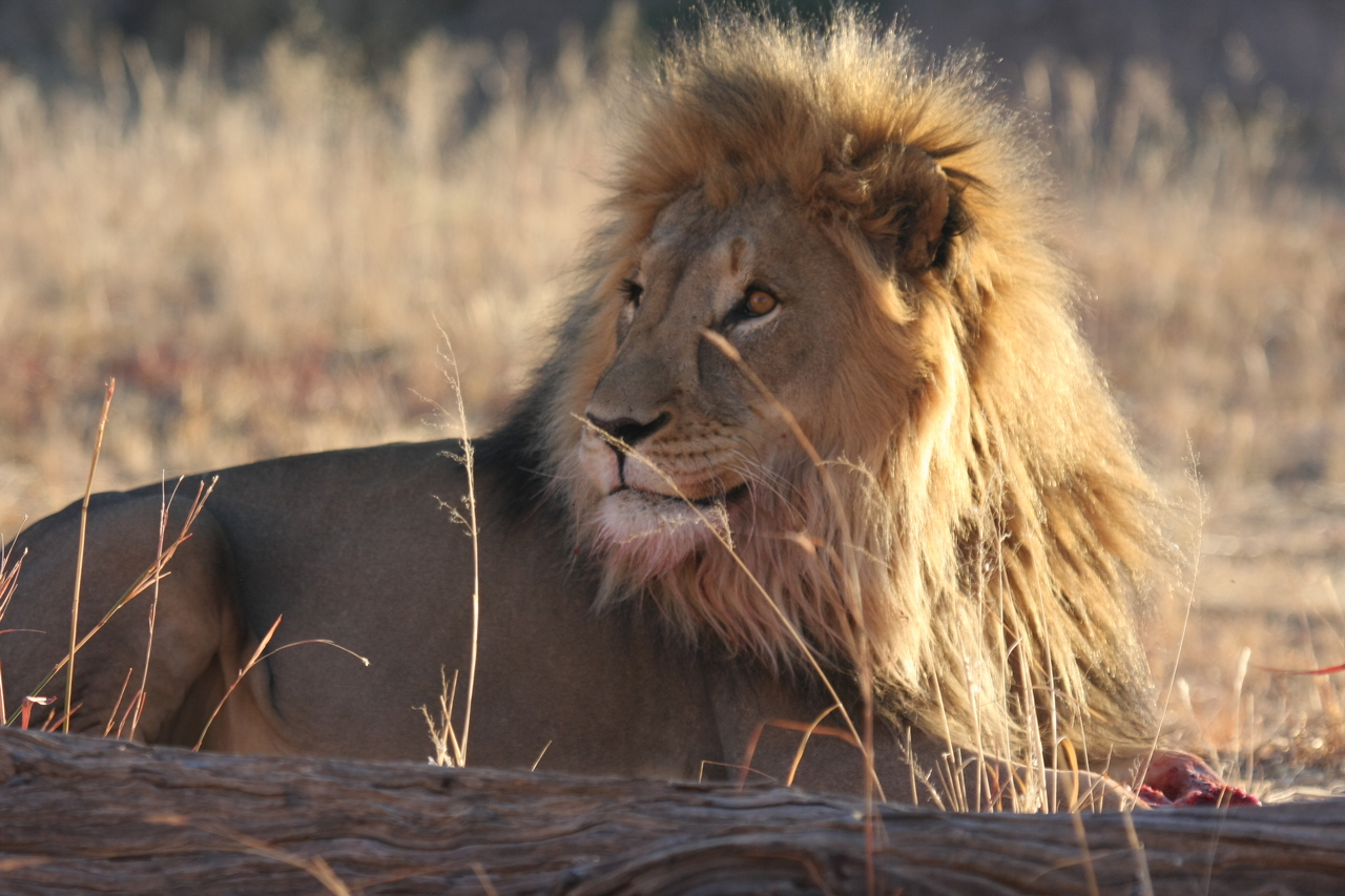 [7878] 2016_06_23_11_47_20_Africa_Canon_EOS_40D_IMG__09345.jpg