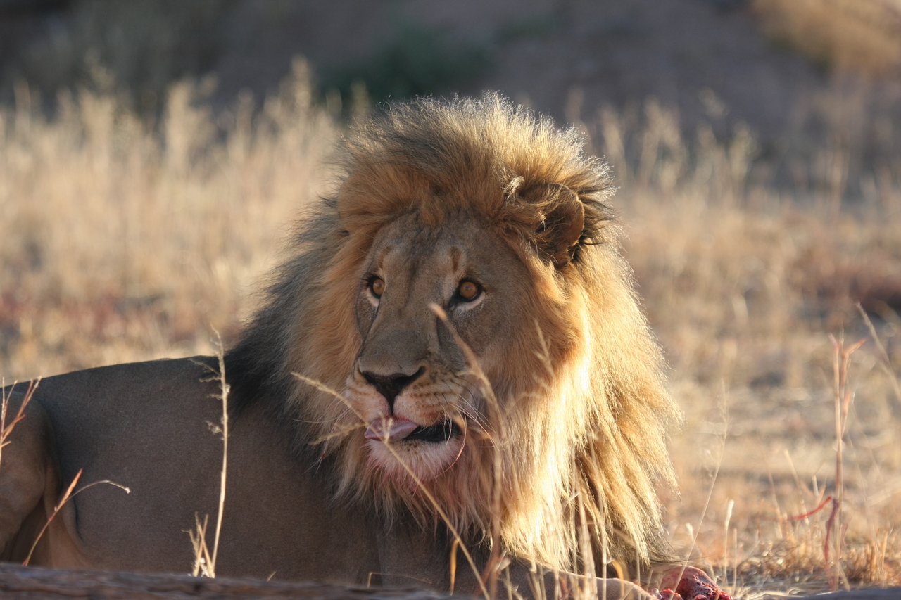 [7883] 2016_06_23_11_47_22_Africa_Canon_EOS_40D_IMG__01067.jpg