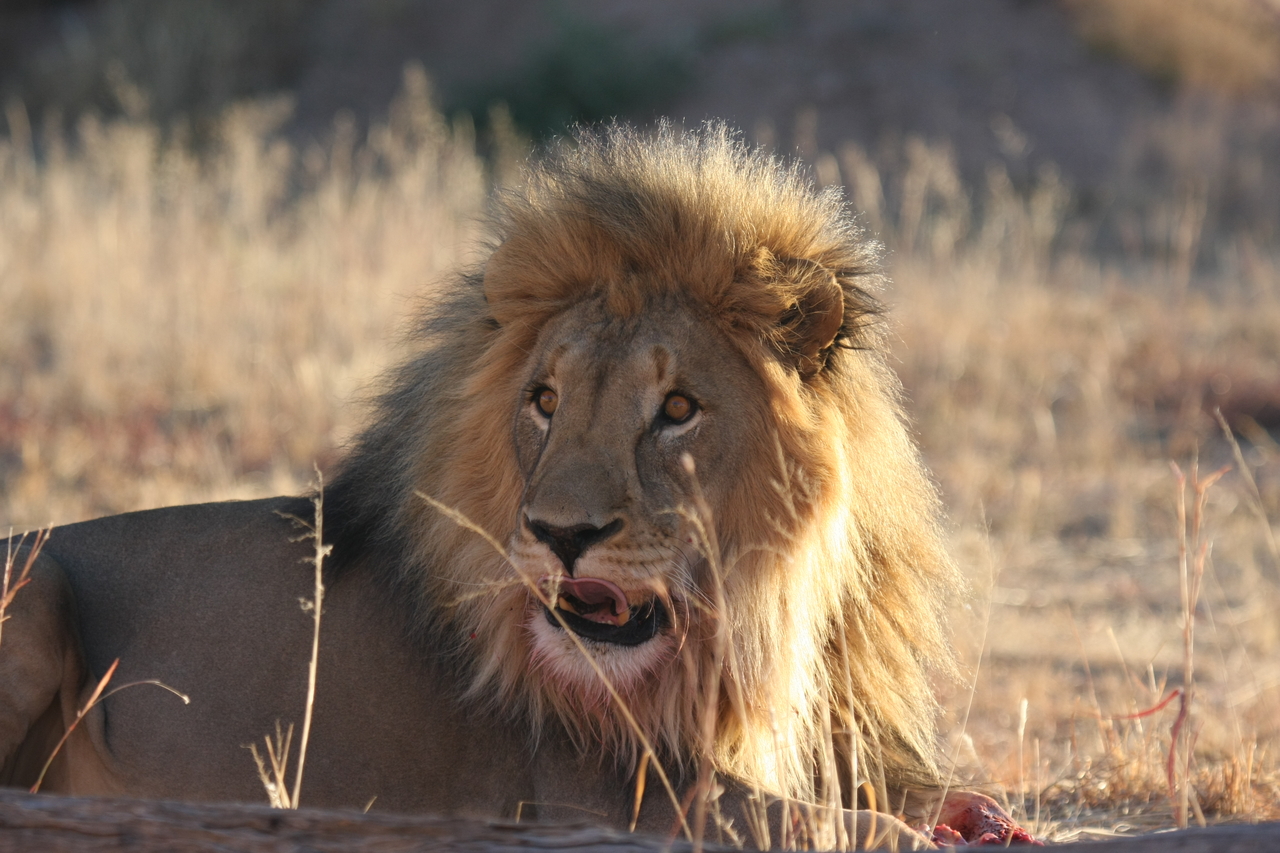 [7884] 2016_06_23_11_47_22_Africa_Canon_EOS_40D_IMG__01068.jpg