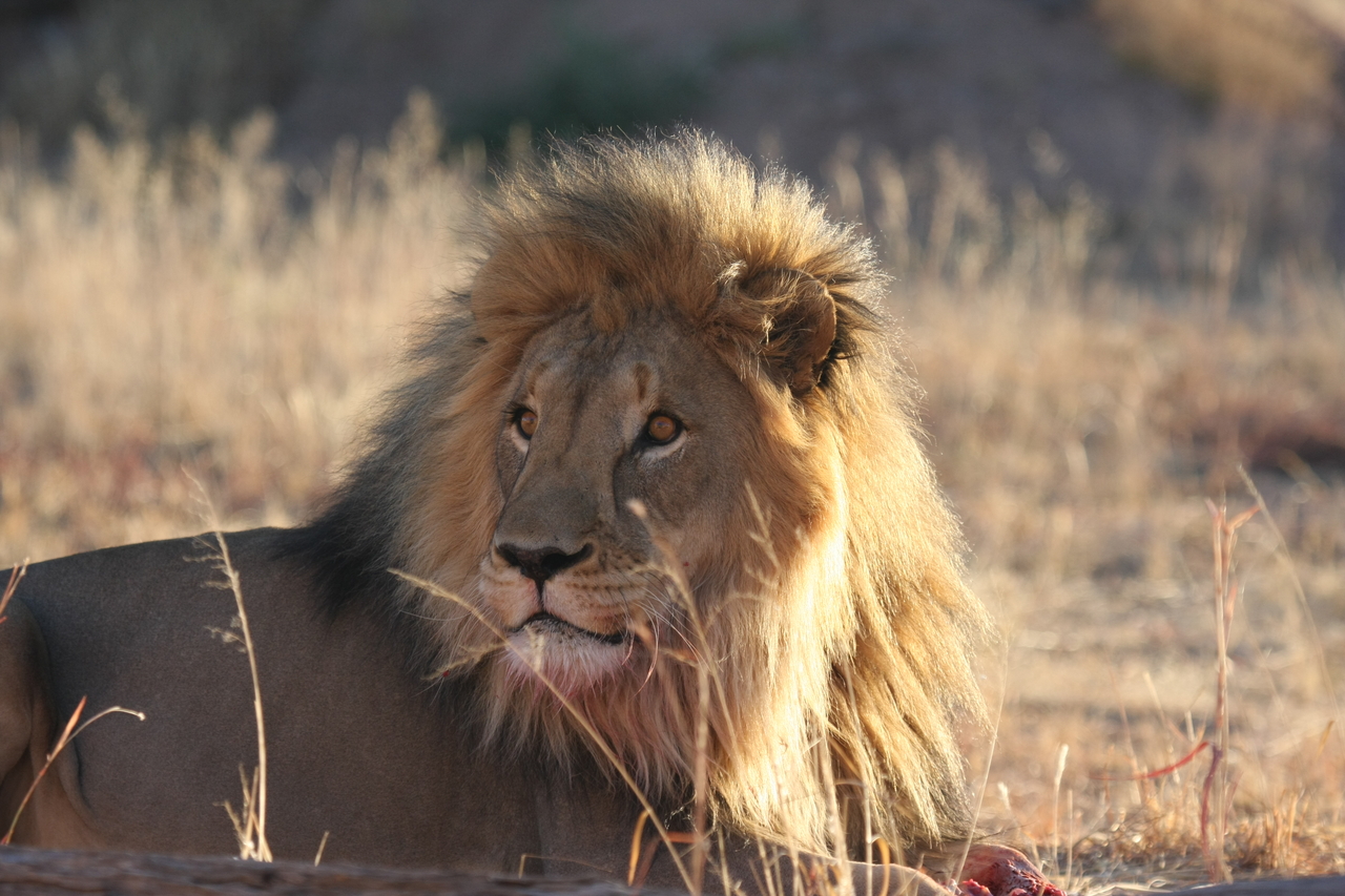 [7885] 2016_06_23_11_47_22_Africa_Canon_EOS_40D_IMG__01900.jpg