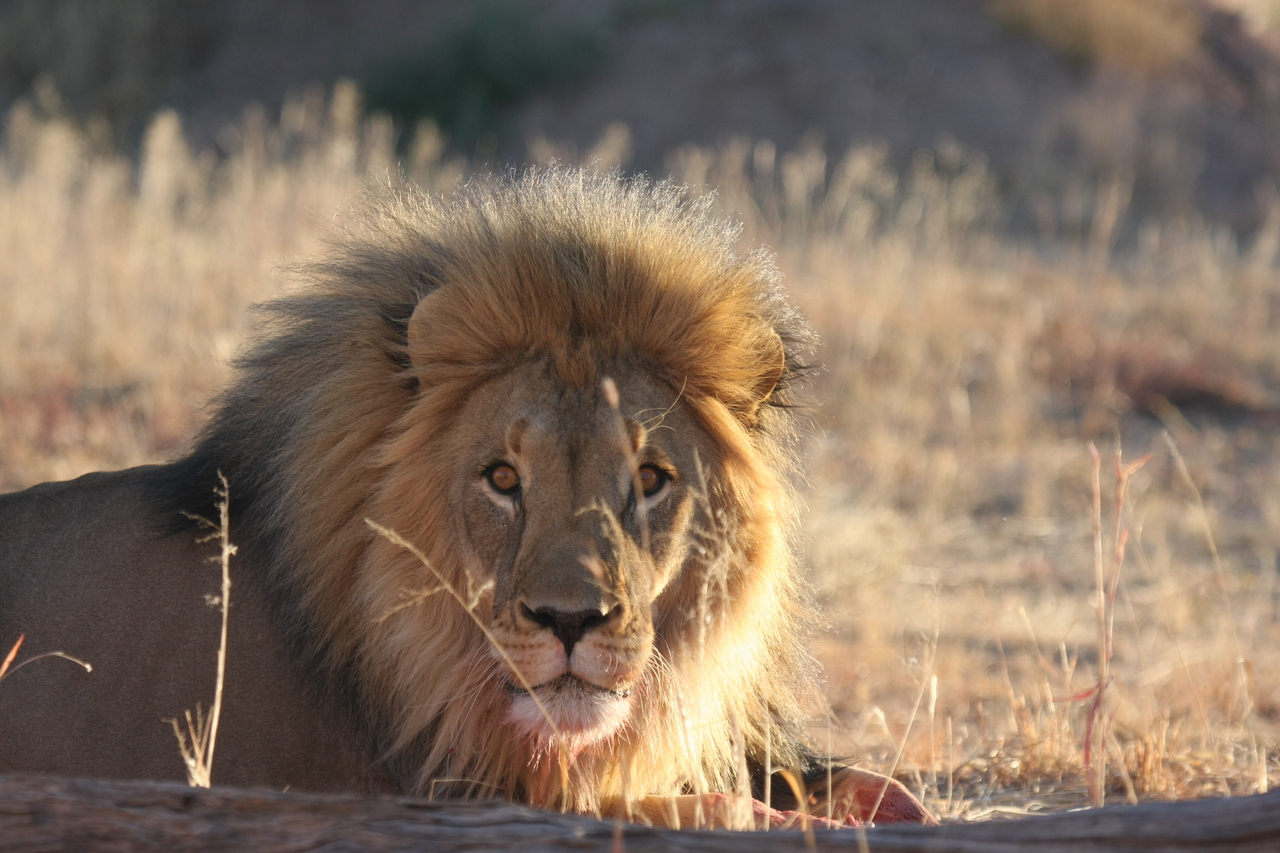 [7902] 2016_06_23_11_47_29_Africa_Canon_EOS_40D_IMG__09354.jpg