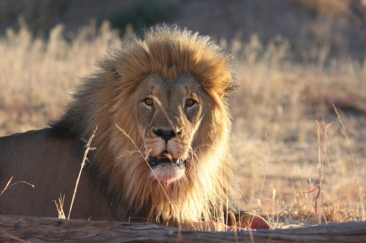 [7904] 2016_06_23_11_47_30_Africa_Canon_EOS_40D_IMG__01075.jpg