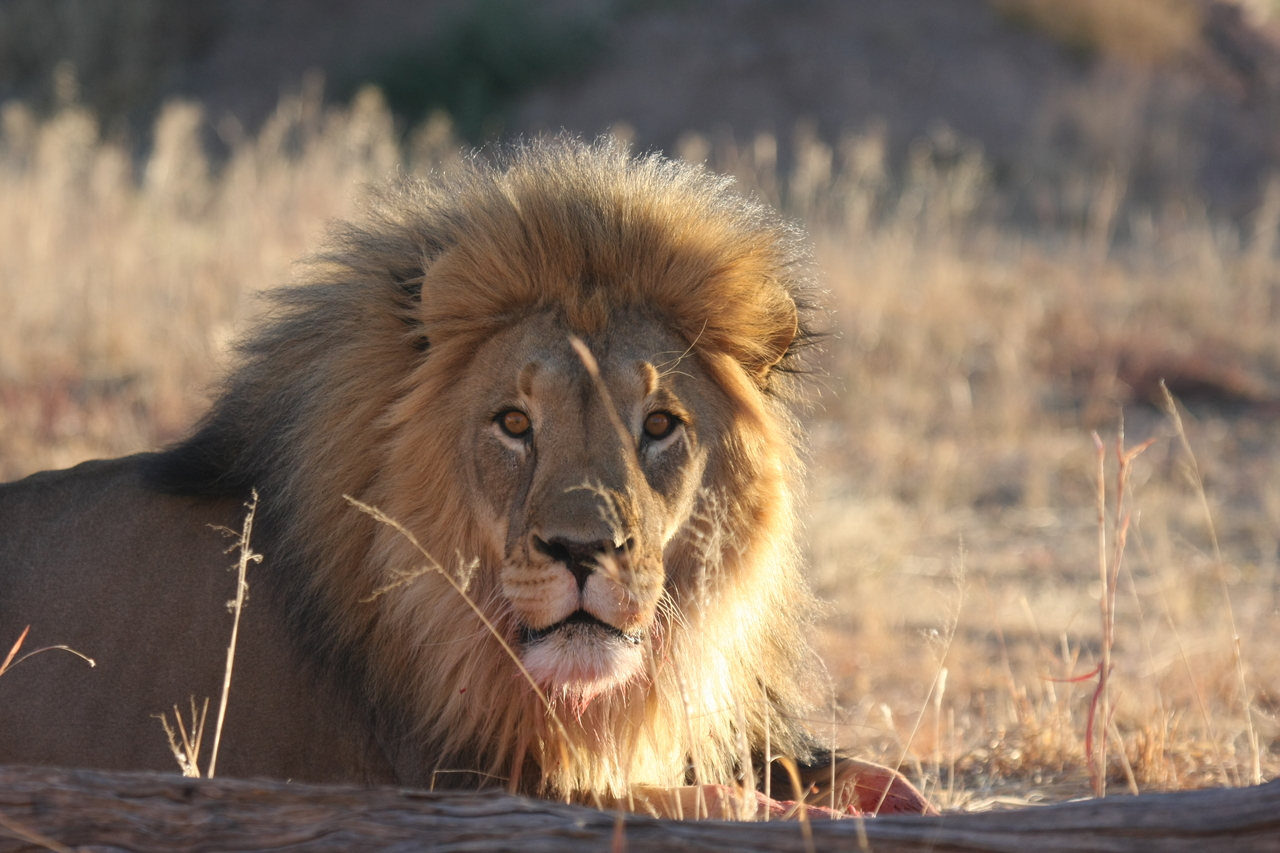 [7909] 2016_06_23_11_47_30_Africa_Canon_EOS_40D_IMG__09355.jpg