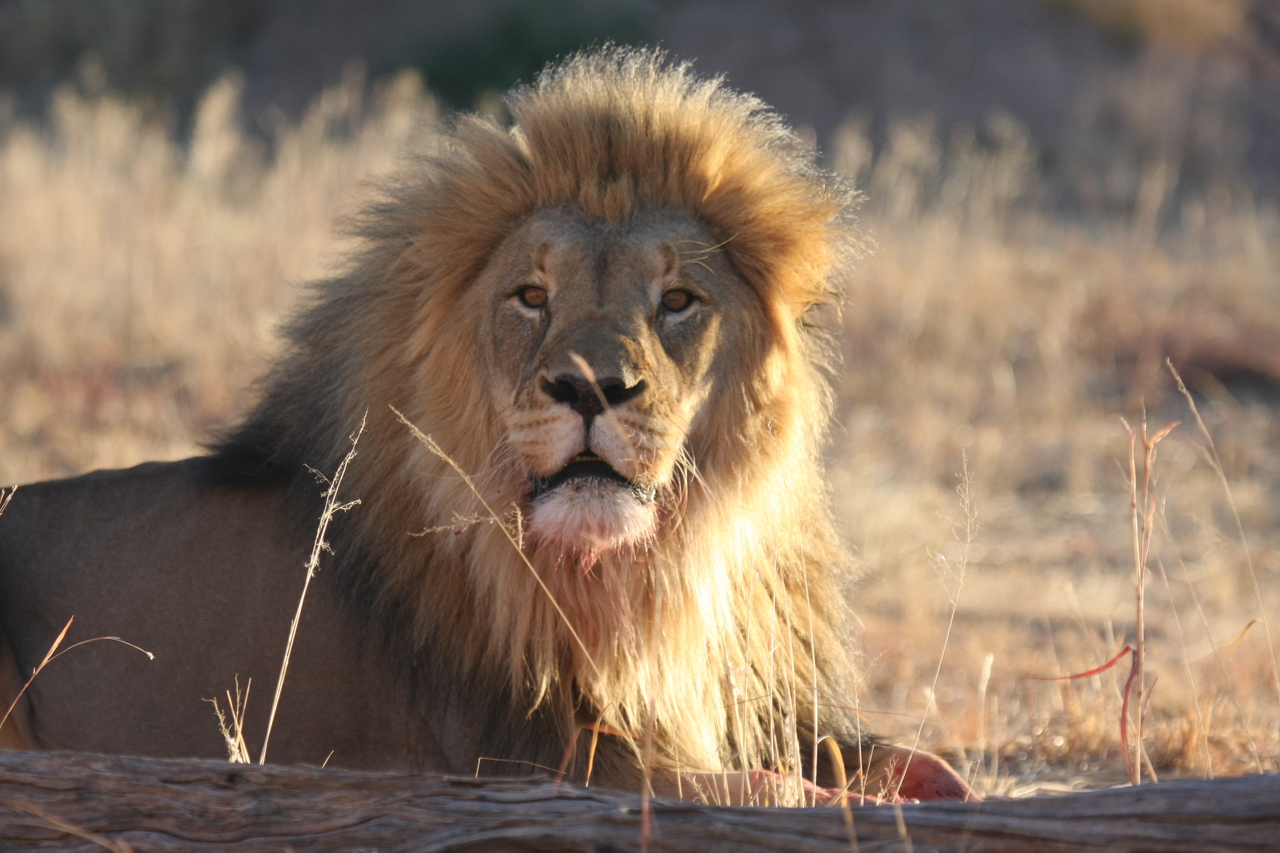 [7911] 2016_06_23_11_47_30_Africa_Canon_EOS_40D_IMG__09357.jpg