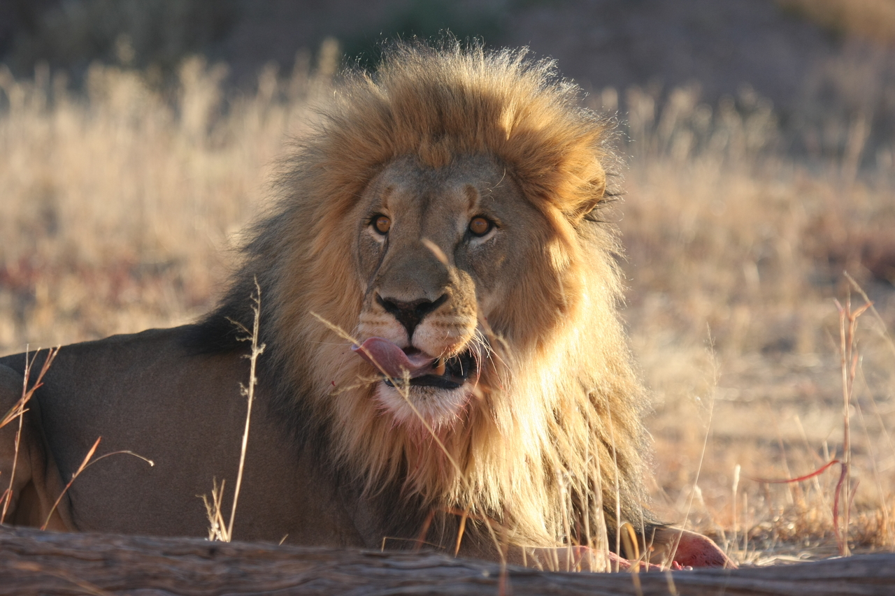 [7921] 2016_06_23_11_47_32_Africa_Canon_EOS_40D_IMG__01080.jpg