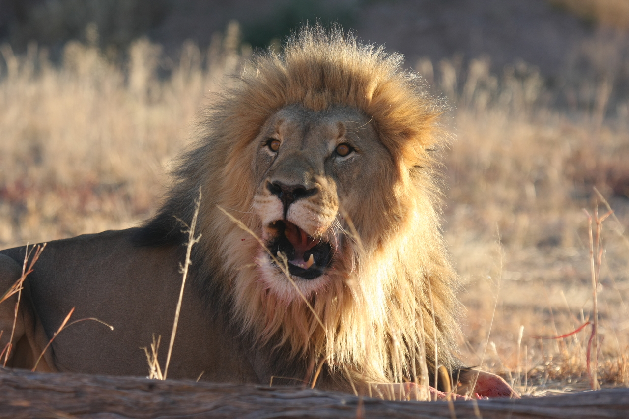 [7922] 2016_06_23_11_47_32_Africa_Canon_EOS_40D_IMG__01081.jpg